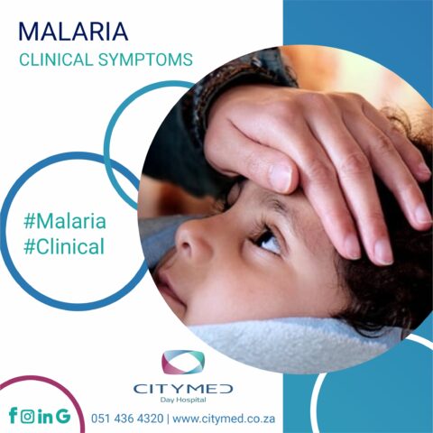 Malaria - CityMed